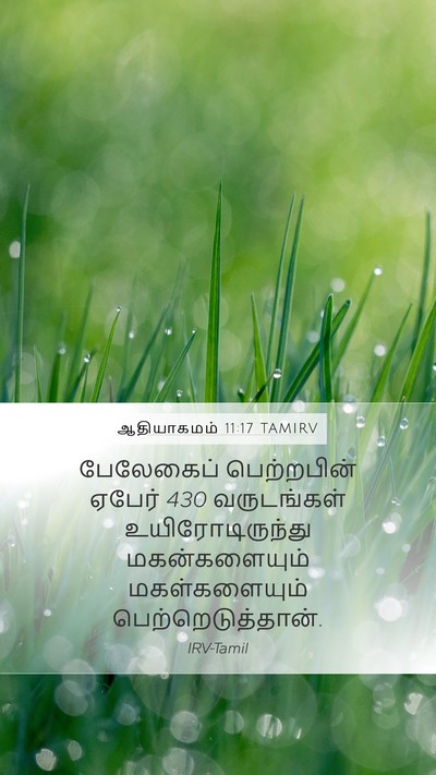 ஆதியாகமம் 11:17 TAMIRV Mobile Phone Wallpaper - பேலேகைப் - Mobile Bible Verse Wallpaper
