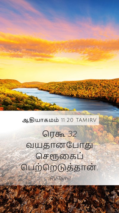 ஆதியாகமம் 11:20 TAMIRV Mobile Phone Wallpaper - ரெகூ 32 வயதானபோது - Mobile Bible Verse Wallpaper