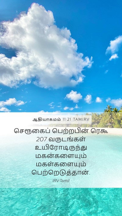 ஆதியாகமம் 11:21 TAMIRV Mobile Phone Wallpaper - செரூகைப் - Mobile Bible Verse Wallpaper