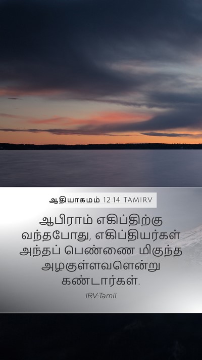 ஆதியாகமம் 12:14 TAMIRV Bible Verse Image