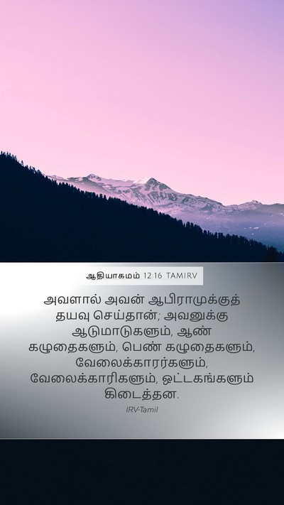 ஆதியாகமம் 12:16 TAMIRV Bible Verse Image
