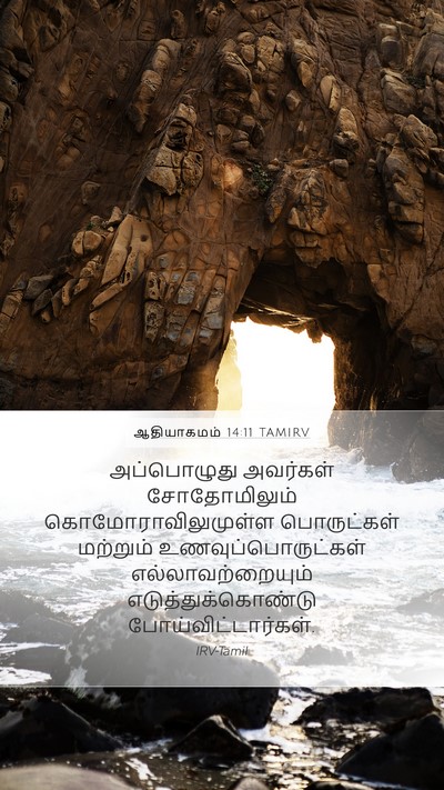 ஆதியாகமம் 14:11 TAMIRV Mobile Phone Wallpaper - அப்பொழுது அவர்கள் - Mobile Bible Verse Wallpaper