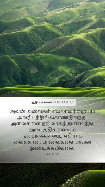 ஆதியாகமம் 15:10 TAMIRV Mobile Phone Wallpaper - அவன் அவைகள் - Mobile Bible Verse Wallpaper
