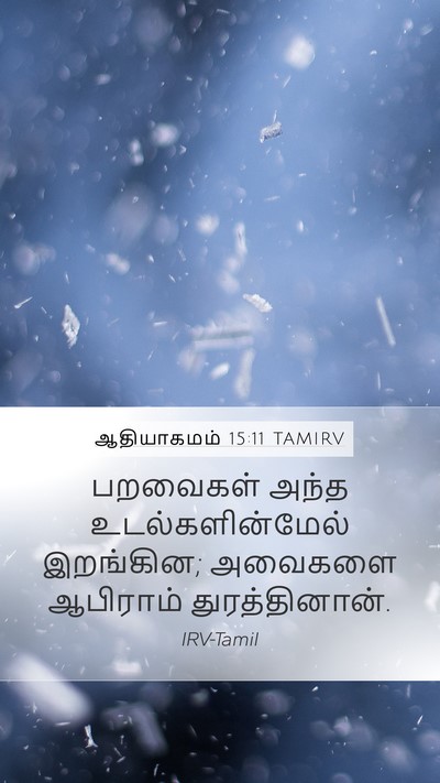 ஆதியாகமம் 15:11 TAMIRV Bible Verse Image