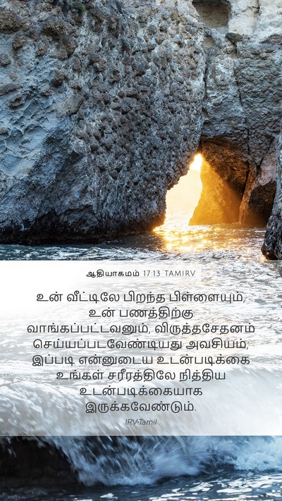 ஆதியாகமம் 17:13 TAMIRV Bible Verse Image