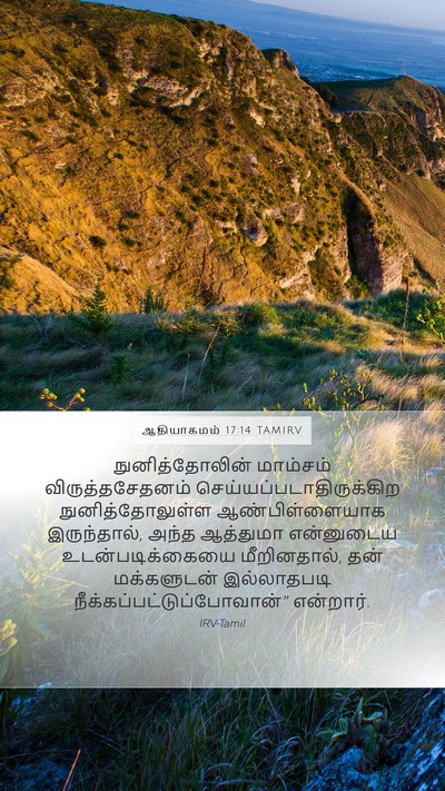 ஆதியாகமம் 17:14 TAMIRV Bible Verse Image