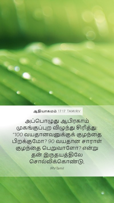 ஆதியாகமம் 17:17 TAMIRV Bible Verse Image