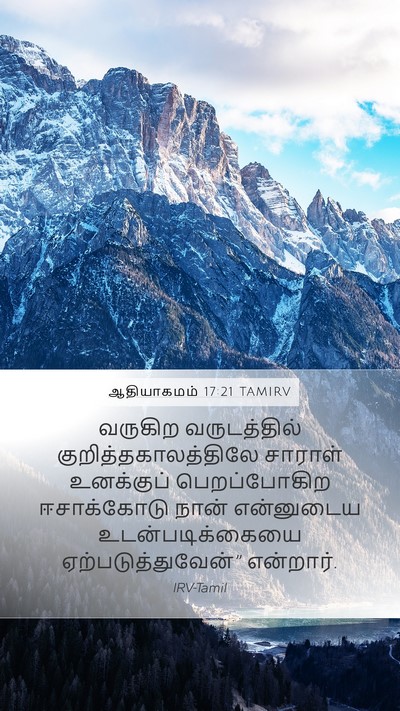 ஆதியாகமம் 17:21 TAMIRV Bible Verse Image