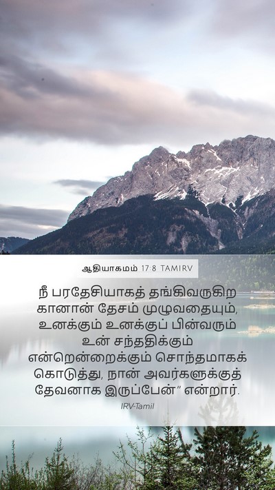 ஆதியாகமம் 17:8 TAMIRV Bible Verse Image