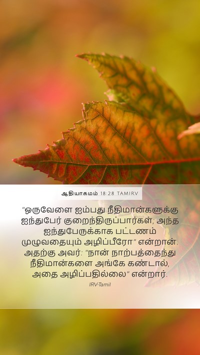 ஆதியாகமம் 18:28 TAMIRV Bible Verse Image