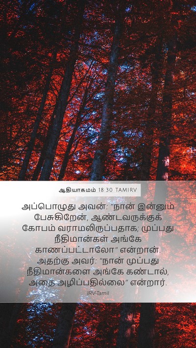 ஆதியாகமம் 18:30 TAMIRV Mobile Phone Wallpaper - அப்பொழுது அவன்: - Mobile Bible Verse Wallpaper