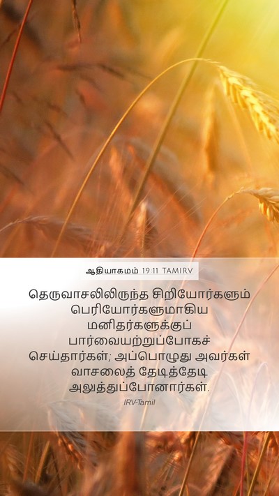 ஆதியாகமம் 19:11 TAMIRV Mobile Phone Wallpaper - தெருவாசலிலிருந்த - Mobile Bible Verse Wallpaper