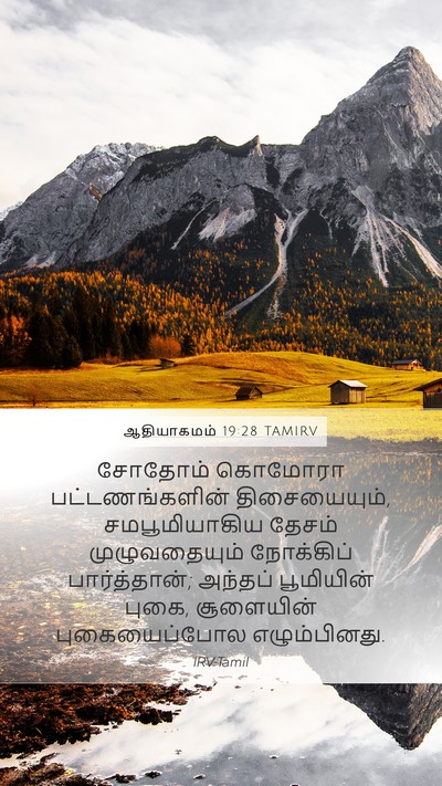 ஆதியாகமம் 19:28 TAMIRV Bible Verse Image