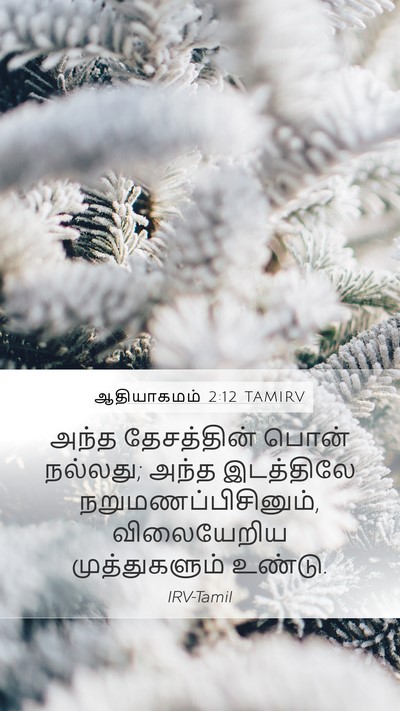 ஆதியாகமம் 2:12 TAMIRV Mobile Phone Wallpaper - அந்த தேசத்தின் - Mobile Bible Verse Wallpaper