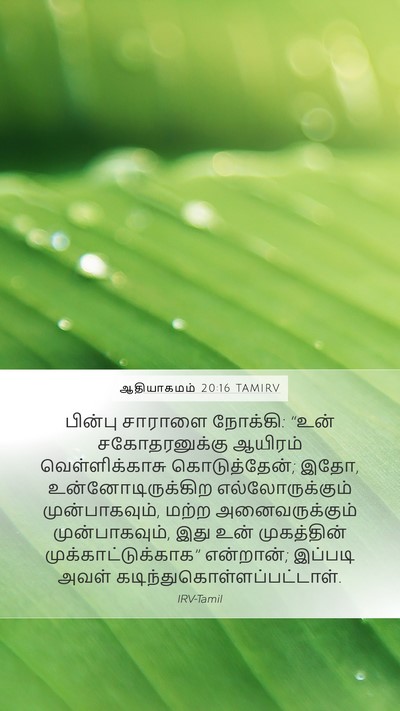 ஆதியாகமம் 20:16 TAMIRV Bible Verse Image