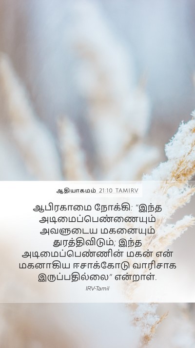 ஆதியாகமம் 21:10 TAMIRV Mobile Phone Wallpaper - ஆபிரகாமை நோக்கி: - Mobile Bible Verse Wallpaper