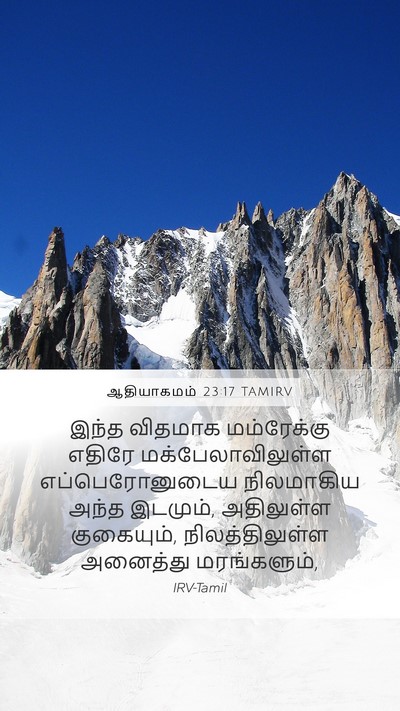 ஆதியாகமம் 23:17 TAMIRV Bible Verse Image