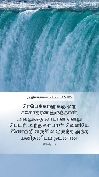 ஆதியாகமம் 24:29 TAMIRV Bible Verse Image