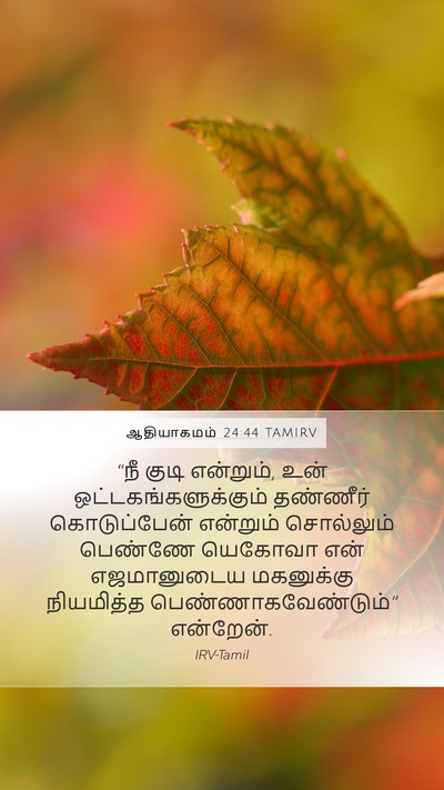 ஆதியாகமம் 24:44 TAMIRV Bible Verse Image