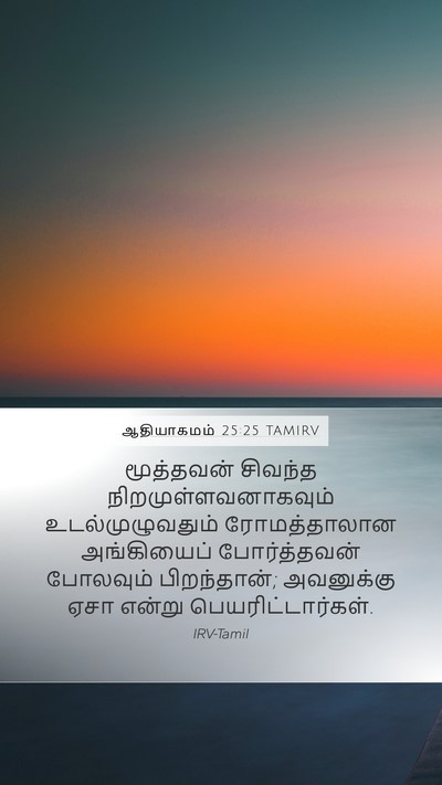 ஆதியாகமம் 25:25 TAMIRV Bible Verse Image