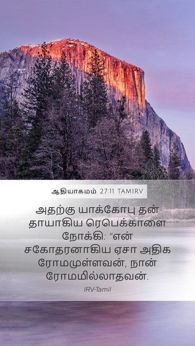 ஆதியாகமம் 27:11 TAMIRV Mobile Phone Wallpaper - அதற்கு யாக்கோபு - Mobile Bible Verse Wallpaper