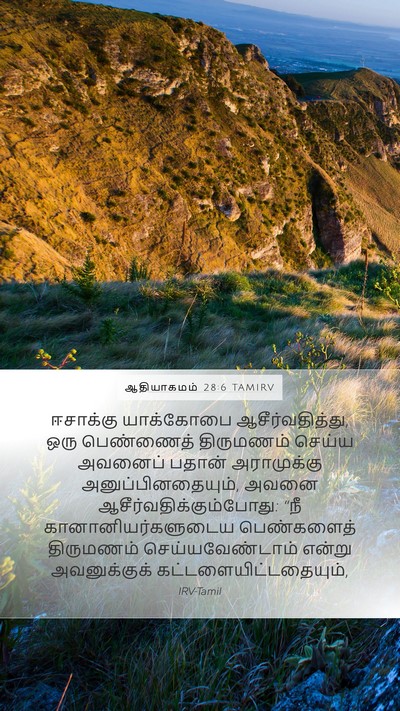 ஆதியாகமம் 28:6 TAMIRV Bible Verse Image