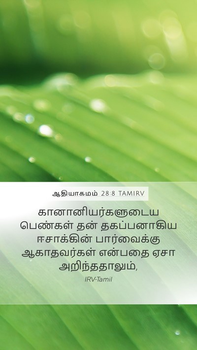 ஆதியாகமம் 28:8 TAMIRV Mobile Phone Wallpaper - கானானியர்களுடைய - Mobile Bible Verse Wallpaper