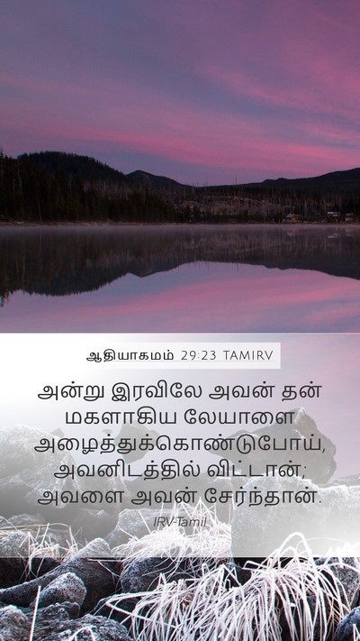 ஆதியாகமம் 29:23 TAMIRV Mobile Phone Wallpaper - அன்று இரவிலே அவன் - Mobile Bible Verse Wallpaper