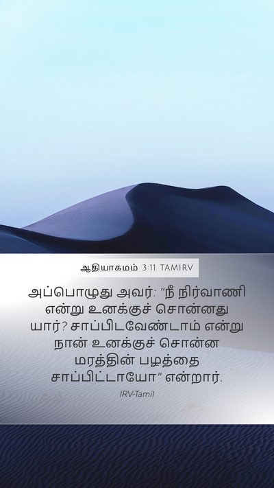ஆதியாகமம் 3:11 TAMIRV Bible Verse Image