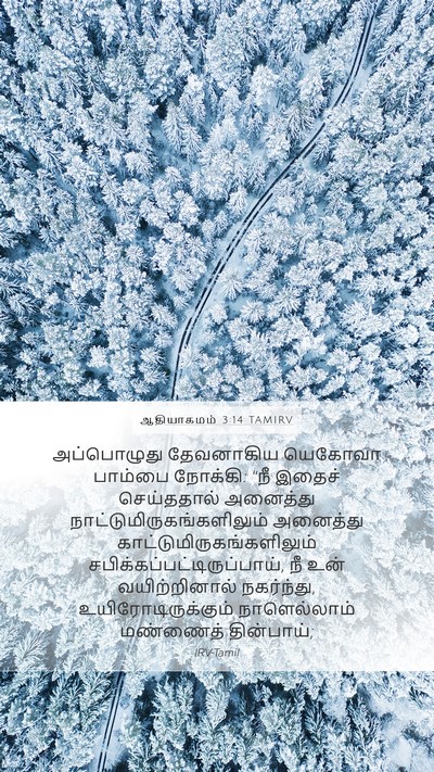 ஆதியாகமம் 3:14 TAMIRV Bible Verse Image