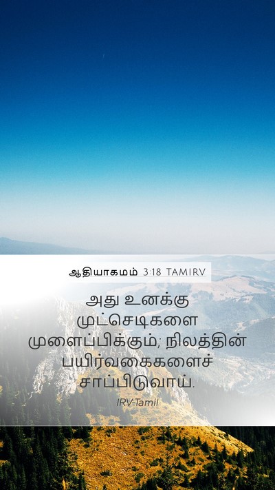 ஆதியாகமம் 3:18 TAMIRV Bible Verse Image