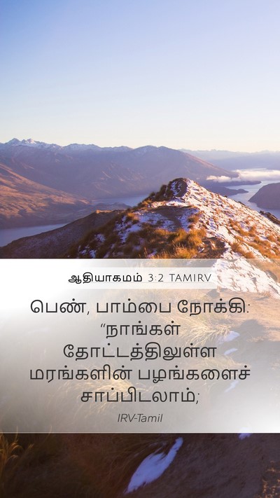 ஆதியாகமம் 3:2 TAMIRV Mobile Phone Wallpaper - பெண், பாம்பை - Mobile Bible Verse Wallpaper