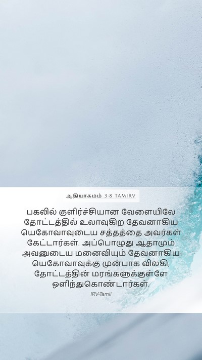 ஆதியாகமம் 3:8 TAMIRV Mobile Phone Wallpaper - பகலில் - Mobile Bible Verse Wallpaper