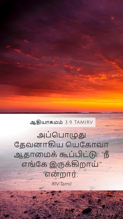 ஆதியாகமம் 3:9 TAMIRV Bible Verse Image
