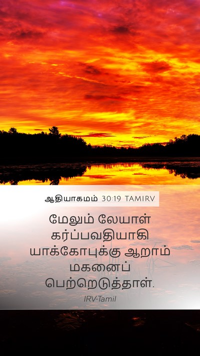 ஆதியாகமம் 30:19 TAMIRV Bible Verse Image