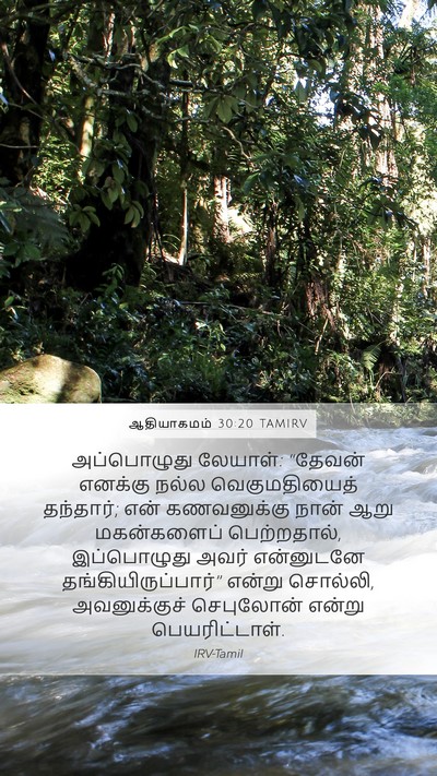 ஆதியாகமம் 30:20 TAMIRV Bible Verse Image