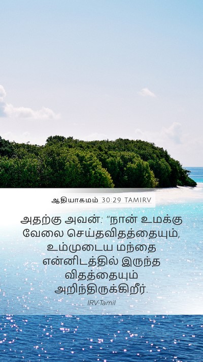 ஆதியாகமம் 30:29 TAMIRV Bible Verse Image
