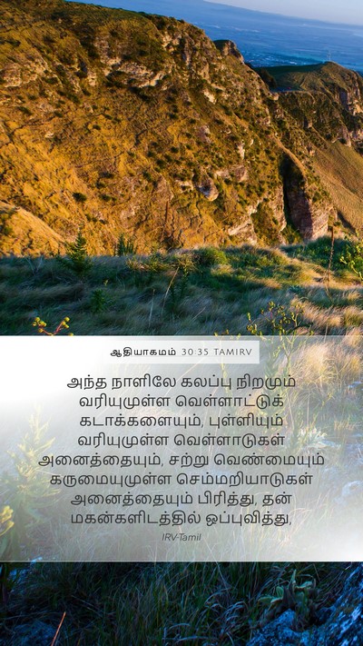 ஆதியாகமம் 30:35 TAMIRV Bible Verse Image