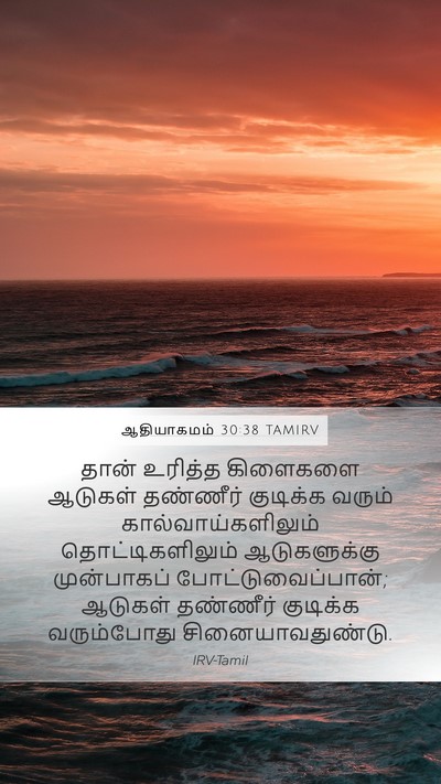 ஆதியாகமம் 30:38 TAMIRV Mobile Phone Wallpaper - தான் உரித்த - Mobile Bible Verse Wallpaper