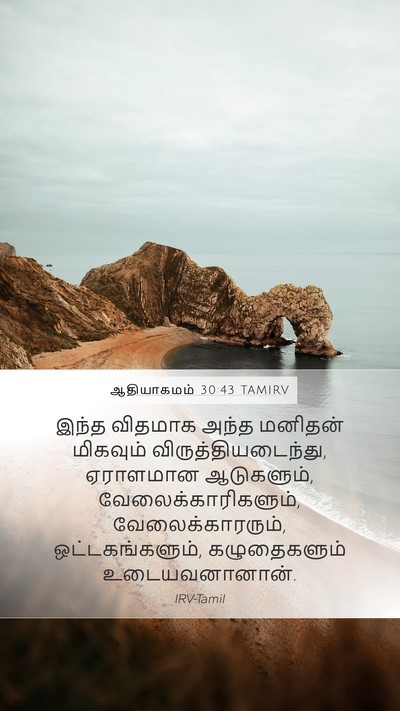 ஆதியாகமம் 30:43 TAMIRV Bible Verse Image