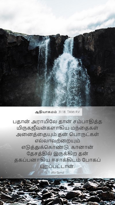 ஆதியாகமம் 31:18 TAMIRV Bible Verse Image