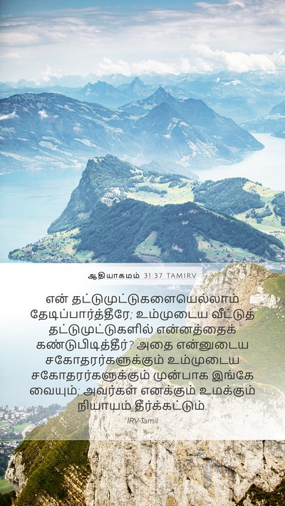 ஆதியாகமம் 31:37 TAMIRV Bible Verse Image