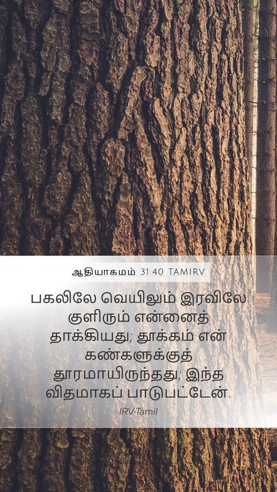 ஆதியாகமம் 31:40 TAMIRV Bible Verse Image