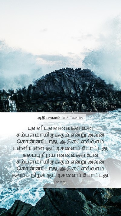ஆதியாகமம் 31:8 TAMIRV Bible Verse Image