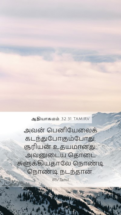 ஆதியாகமம் 32:31 TAMIRV Bible Verse Image