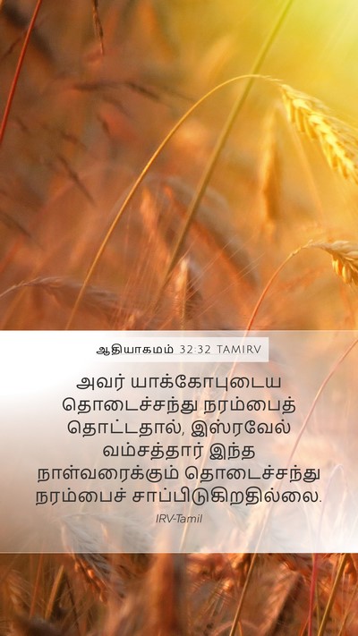 ஆதியாகமம் 32:32 TAMIRV Mobile Phone Wallpaper - அவர் யாக்கோபுடைய - Mobile Bible Verse Wallpaper