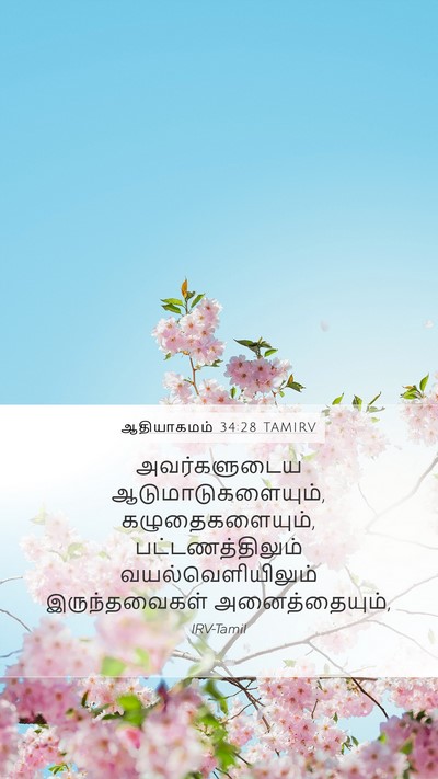 ஆதியாகமம் 34:28 TAMIRV Bible Verse Image