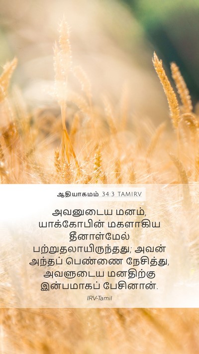 ஆதியாகமம் 34:3 TAMIRV Bible Verse Image