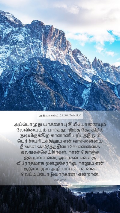 ஆதியாகமம் 34:30 TAMIRV Bible Verse Image