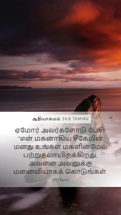 ஆதியாகமம் 34:8 TAMIRV Mobile Phone Wallpaper - ஏமோர் அவர்களோடு - Mobile Bible Verse Wallpaper